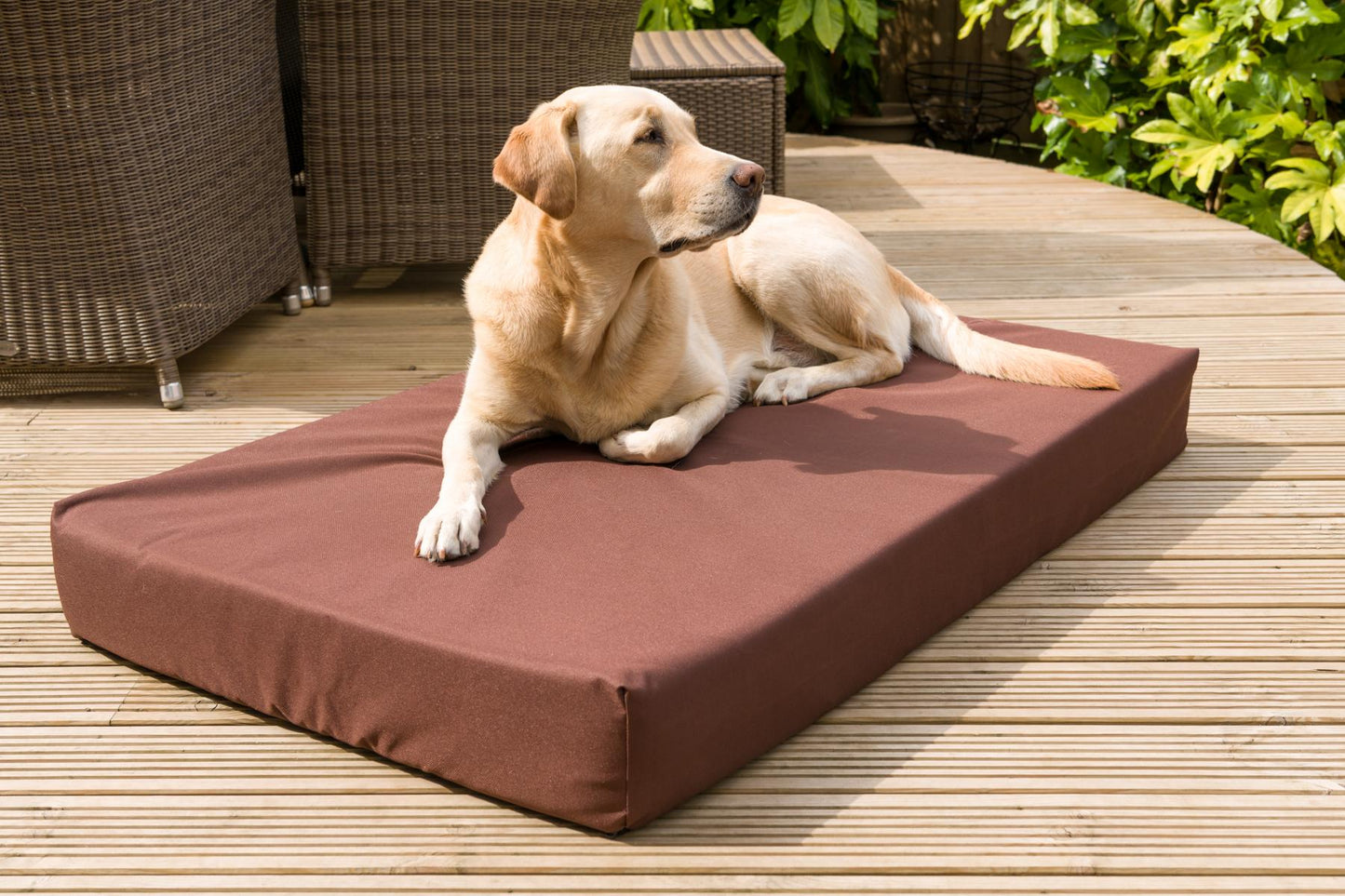 Waterproof Memory Foam Dog Bed-2
